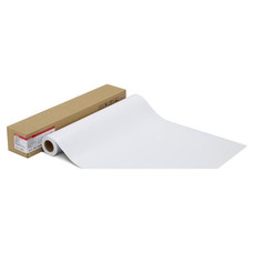 CANON Papel Photo Paper Pro Platinum 300 - 24 inch CANON Papel Photo Paper Pro Platinum 300 - 24 inch
