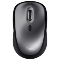 RATON TRUST YVIP SILENT BK RATON TRUST YVIP SILENT BK