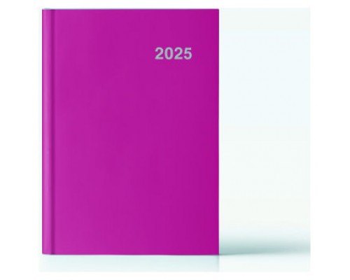 AGENDA 2025 PARIS DIA/PAGINA 15X21 FUCSIA CATALAN INGRAF 355423 (Espera 4 dias)