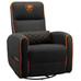 Cougar Sill&oacute;n Fidom