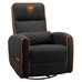 Cougar Sill&oacute;n Fidom