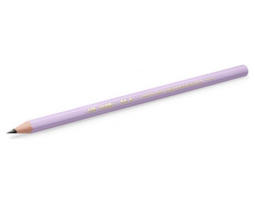 LAPIZ GRAFITO HB PASTEL BIC 518307 (Espera 4 dias)