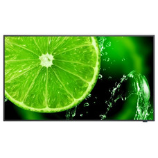 NEC MultiSync E658 165,1 cm (65") IPS 350 cd / m&sup2; 4K Ultra HD Negro 16/7 (Espera 4 dias)