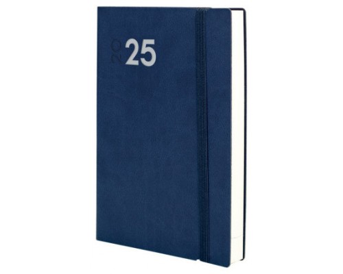 AGENDA 2025 DYNAMIC MARA Y11 164X240MM DIA PAGINA AZUL FINOCAM 621981025 (Espera 4 dias)