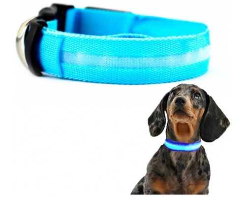 Collar Mascotas LED Biwond Talla M Azul (Espera 2 dias)