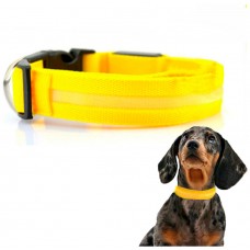 Collar Mascotas LED Biwond Talla M Amarillo (Espera 2 dias)