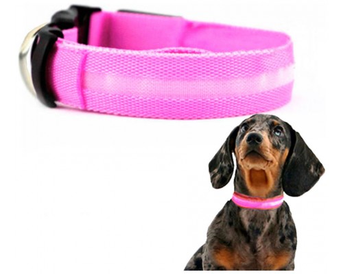 Collar Mascotas LED Biwond Talla L Rosa (Espera 2 dias)