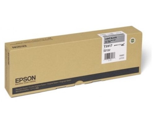 Epson GF Stylus Photo 11880 Cartucho Negro claro