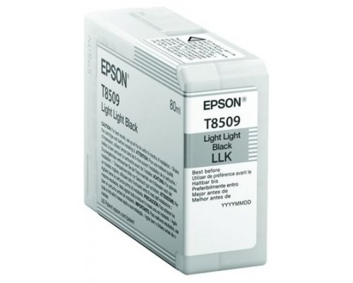 EPSON SureColor SC-P800 Cartucho Negro Light Light