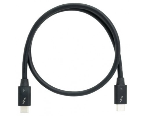 QNAP CAB-TBT4-0M5 cable Thunderbolt 0,5 m 40 Gbit/s Negro (Espera 4 dias)