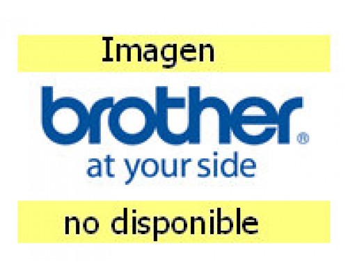 BROTHER Etiquetas identificadoras 20X20 - bolsa de 12 hojas