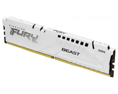Kingston Technology FURY Beast módulo de memoria 32 GB 1 x 32 GB DDR5 (Espera 4 dias)