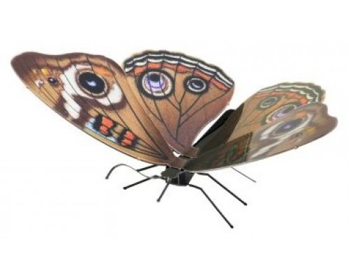 MAQUETA 3D METAL FASCINATIONS MARIPOSA BUCKEYE MONTAJE