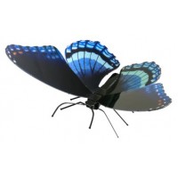 Maqueta 3d Metal Fascinations Mariposa Red-spotted