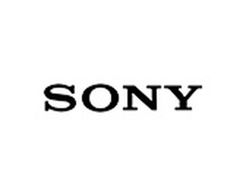 SONY ADVANCE INTERACTIVE STYLUS PEN (ADONIT MARK) (PEN-HE) (Espera 4 dias)