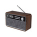 RADIO SUNSTECH RPBT500WD