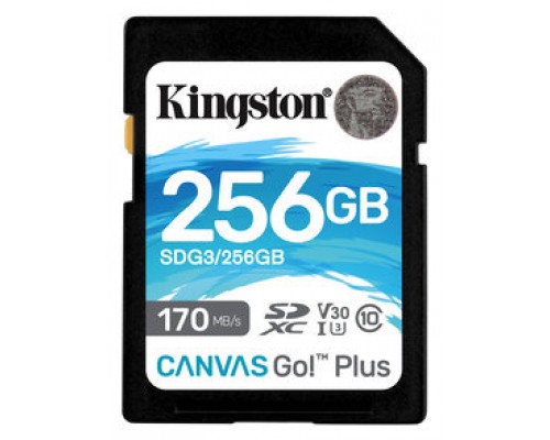 MEMORIA SD 256GB KINGSTON SDXC CANVAS GO PLUS 170R C10 · (Espera 4 dias)