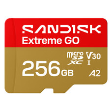 SanDisk Extreme GO 256 GB MicroSDXC UHS-I (Espera 4 dias)