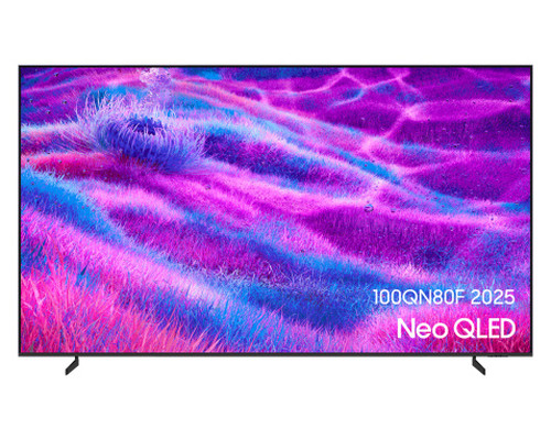 Samsung TQ100QN80FU 2,54 m (100") 4K Ultra HD Smart TV Wifi Gris (Espera 4 dias)